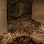Les catacombes de Paris