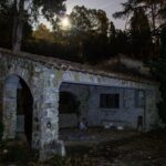 Le domaine des chiens