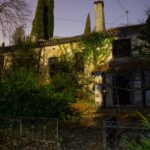Le domaine des chiens