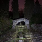 Domaine des chiens 2