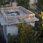 Manoir palmier