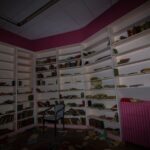 Le sanatorium enneigé