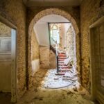 La villa des chats