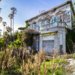 La villa des chats