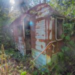 Vintage house