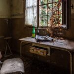 L’asile de la scialytique