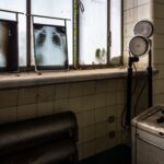 L’asile de la scialytique
