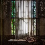 L’asile de la scialytique